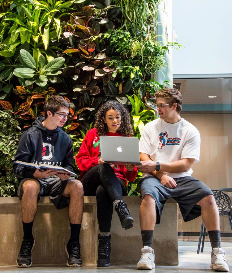 Group of students studying by plant wall